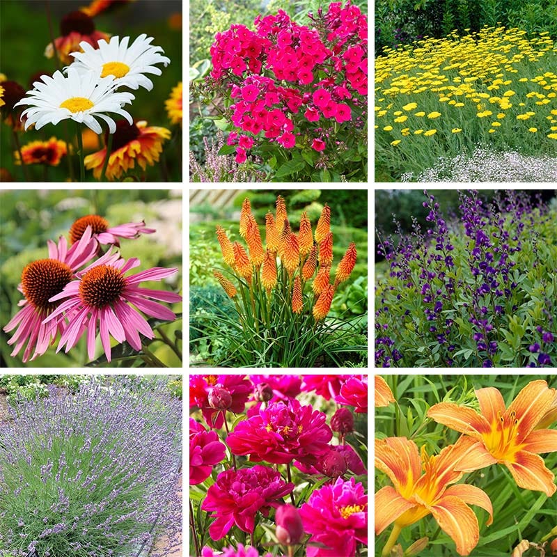 Beautiful Bouquets Pre-Planned Garden - Image 2
