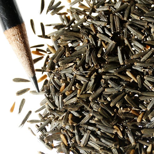 Blazing Star Seeds - Image 7