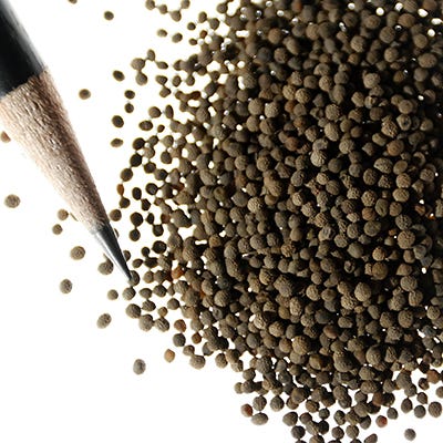 Red Chief California Poppy Seeds - Image 2