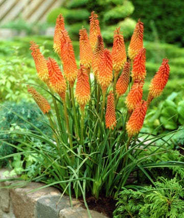 Easy Care Pre-Planned Garden - Image 15