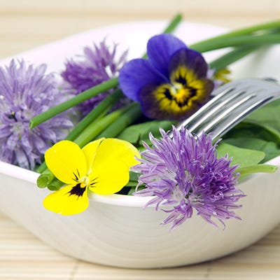 Edible Flower Seed Mix - Image 2