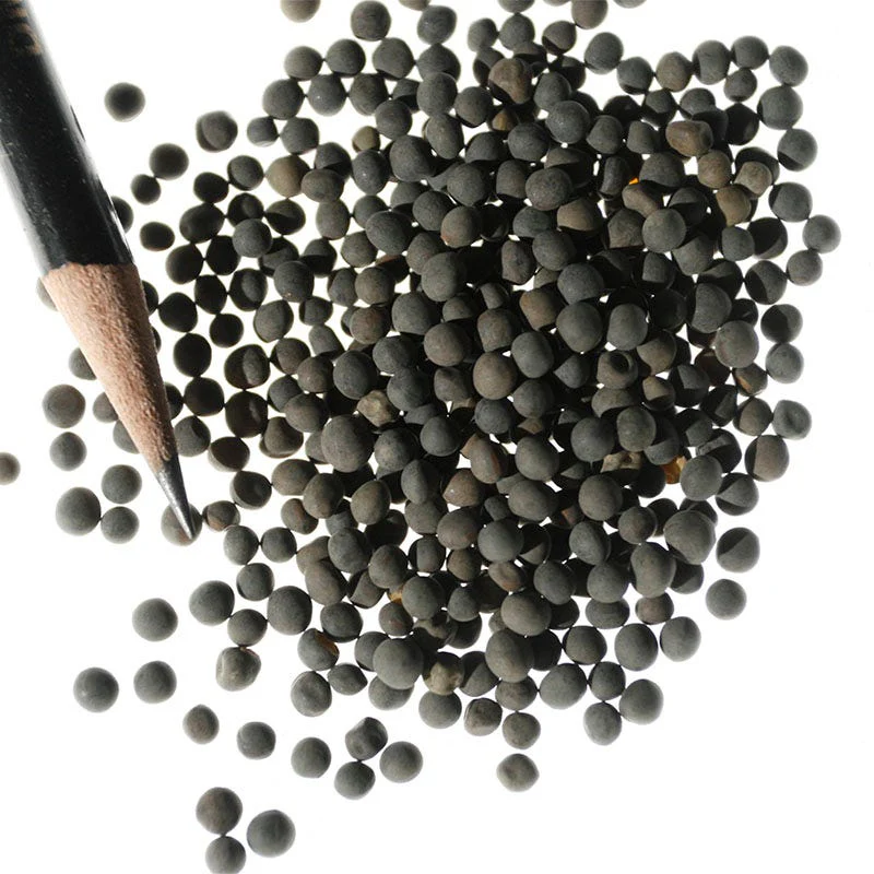 Hairy Vetch Seeds - Image 5