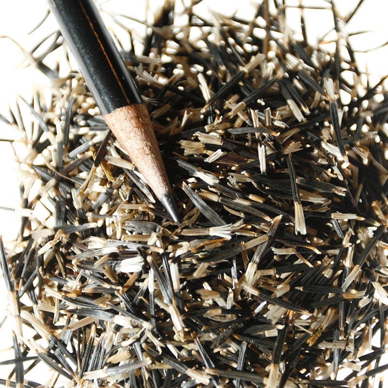 Crackerjack Mix Marigold Seeds - Image 2