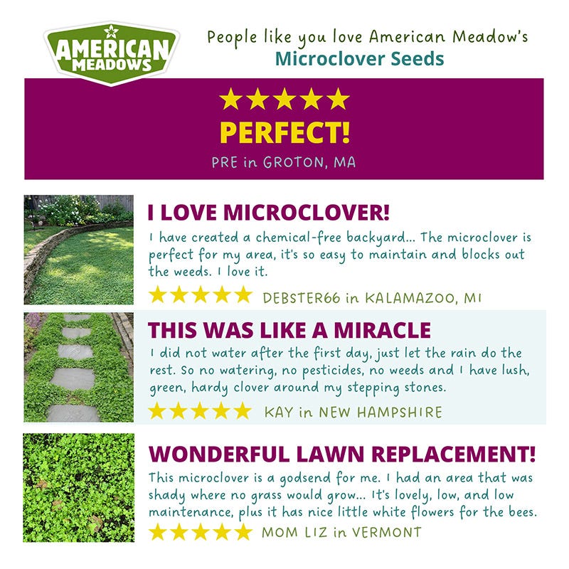 Microclover® Seed - The Original Low-Maintenance Lawn - Image 7