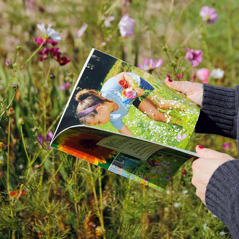 Mini Meadows Wildflower Kit - Image 2
