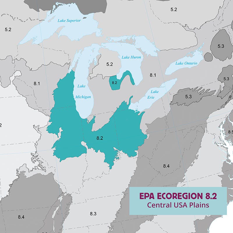 Ecoregion Native Plant Collection - Central USA Plains - Image 2