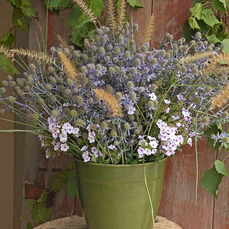 Blue Glitter Sea Holly - Image 5