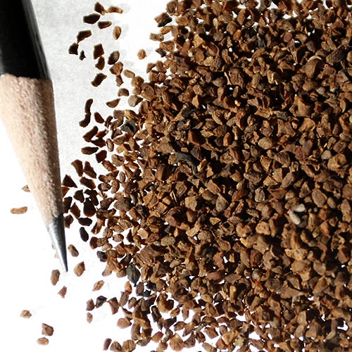 Rocky Mountain Penstemon Seeds - Image 3