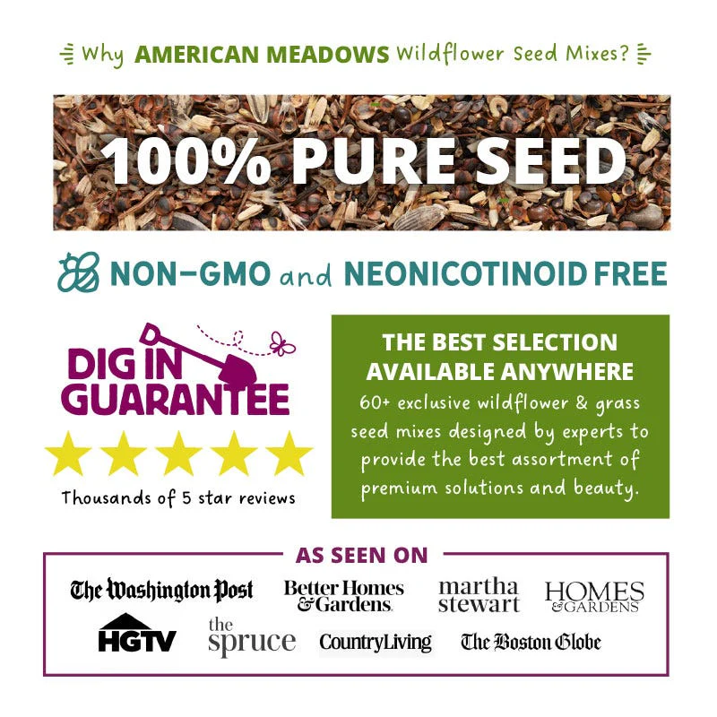 Southwest Pollinator Wildflower Seed Mix - Image 4