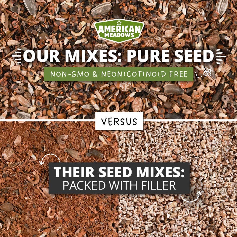 Spring Into Summer Seasonal Wildflower Seed Mix - Image 5