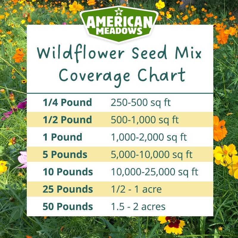 Utah Select Wildflower Seed Mix - Image 4